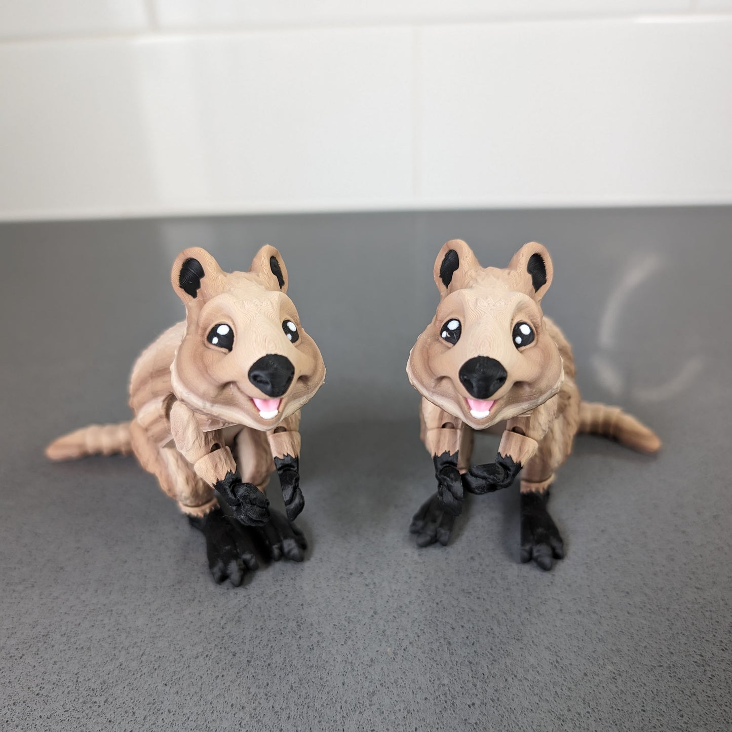 Articulated Quokka