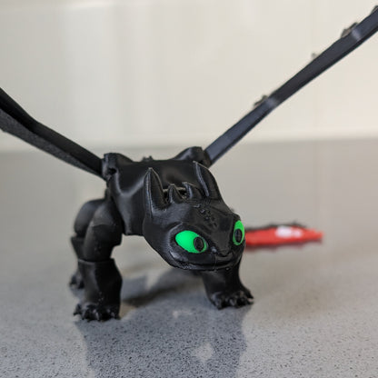 Toothless and Light Fury