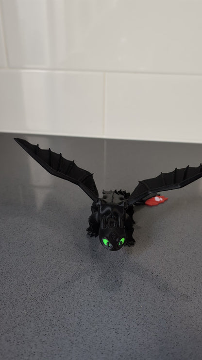 Toothless and Light Fury
