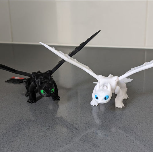 Toothless and Light Fury